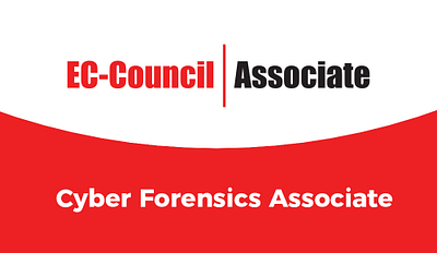 Cyber Forensics Associate